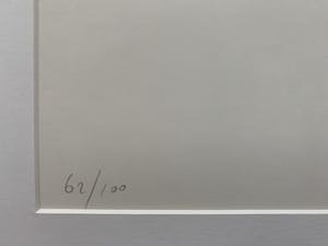 Henk Visch - kleurenlitho - zonder titel - 1994 (Incl passe-partout) kopen? Bied vanaf 125!