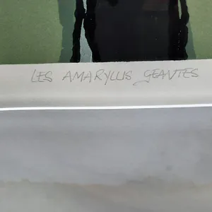 Fon Klement - Boardsnede groot eigen druk - Les Amarylus Geantes - ingelijst - 22225 kopen? Bied vanaf 175!