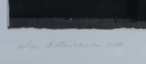 Wim Bettenhausen - Ets in vier kleuren, Voorjaar Den Haag - Ingelijst kopen? Bied vanaf 100!