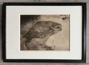 Jan Mankes - Originele Heliogravure Roofvogel op Tak 1923 kaufen? Bieten Sie von 165!