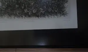 Willem Minderman - Wilde planten met landschap, ets kopen? Bied vanaf 59!