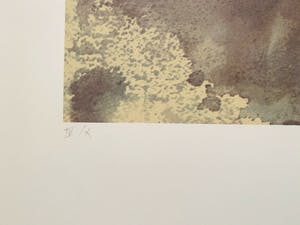 Leonor Fini - La Fille kopen? Bied vanaf 45!