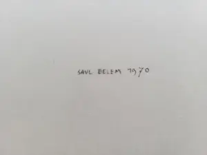 Saul Belem - Fiets met mickey mouse fietsbel. kopen? Bied vanaf 45!