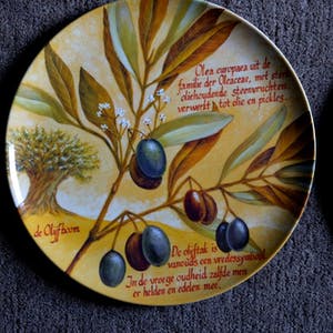 Curiosa - 6 Exclusive Design plates Dutch Art | Original Dutch made kopen? Bied vanaf 1!