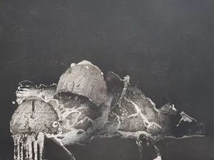 Jan Prins - Prachtige Ets - Gesigneerd in potlood kopen? Bied vanaf 15!