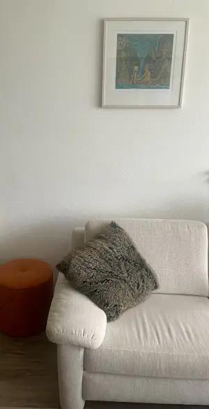 Pjeroo Roobjee - Superbaby. Draak is dood! kopen? Bied vanaf 50!