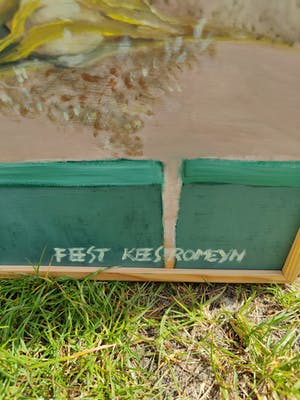 Kees Romeyn - Feest kopen? Bied vanaf 1!