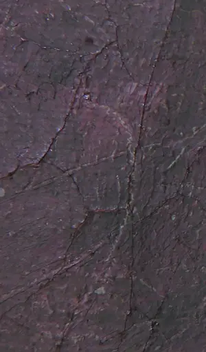 Aart Roos - Olieverf op doek, Zonder titel - Ingelijst kopen? Bied vanaf 200!