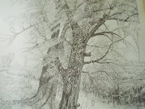 Cees Schellenberg - Tekening - Mariapolder Dordrecht kopen? Bied vanaf 60!