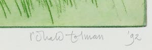 Ronald Tolman - Kleurenets, The silence of childhood - Ingelijst kopen? Bied vanaf 150!