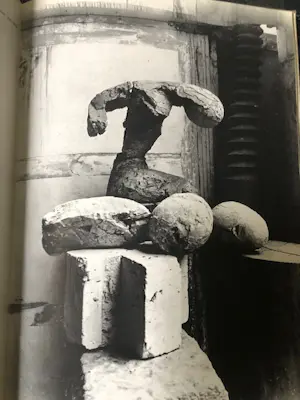 Constantin Brancusi - photographe kopen? Bied vanaf 150!