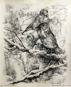 Aart van Dobbenburgh - Winterdroom 1/40 verkocht voor € 60!