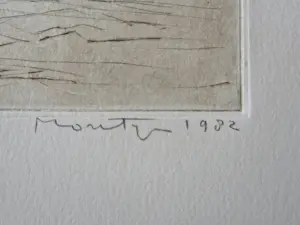 Jan Montyn - in 1982 gemaakte Ets & Aquatint - ZT- kleine oplage (30) - potloodgesigneerd kaufen? Bieten Sie von 63!