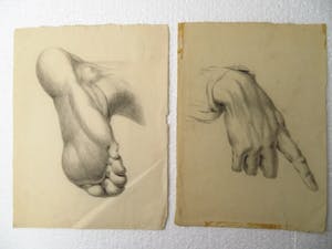 Niet of onleesbaar gesigneerd - Antieke studietekeningen van hand en voet kopen? Bied vanaf 1!