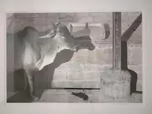 Mark Verdoes - India-4 kopen? Bied vanaf 60!