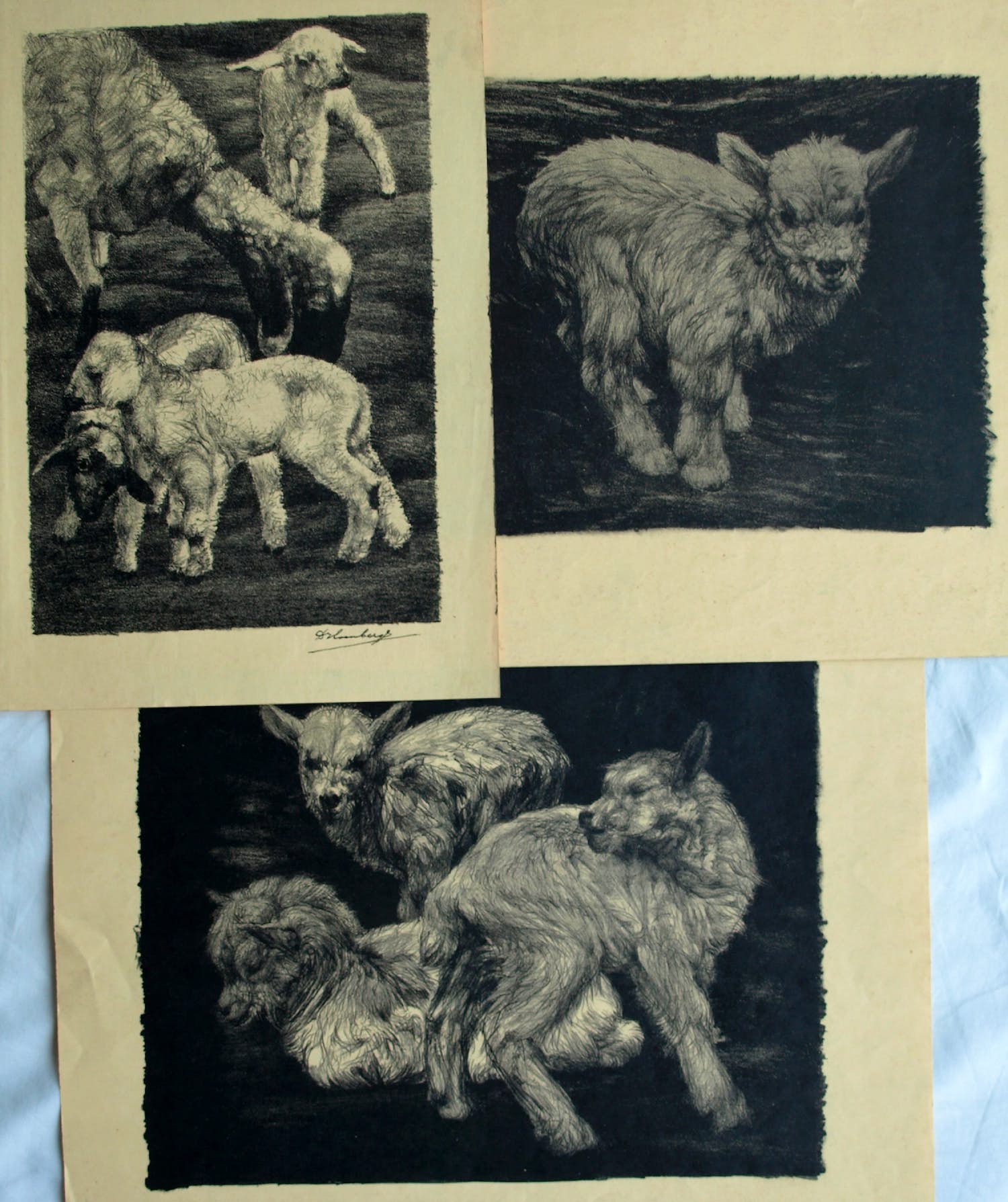 Dirk Homberg - 3x Litho , “Geitjes” – ca 1935 kopen? Bied vanaf 25!