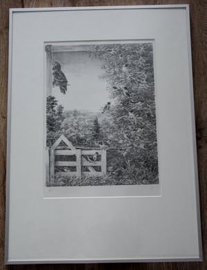 Peter Vos - Ingelijste litho: Verte (nette lijst) kopen? Bied vanaf 299!