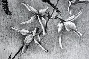 Hans van Dokkum - Chinees klokje met bloeiende elzentak kopen? Bied vanaf 40!