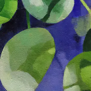 Willem Visser - Pannenkoekplant in blauwe pot kopen? Bied vanaf 120!