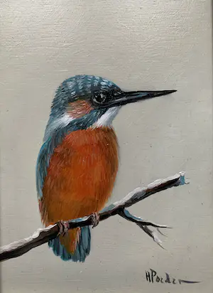 Henk Poeder - Vogel kopen? Bied vanaf 69!