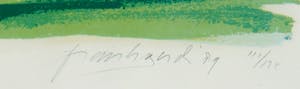 Frank Gude - Litho, Going for the green - Ingelijst kopen? Bied vanaf 1!