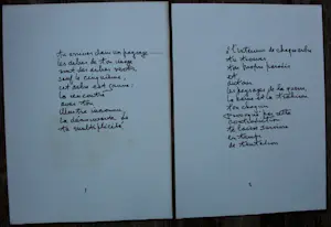 Jan Montyn - Boek met 10 etsen en enkele gedichten: les sept paysages de l'inconnue - 1972 kopen? Bied vanaf 699!