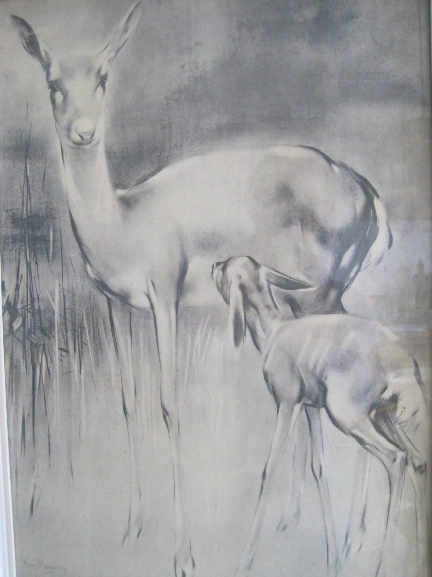 Han van Meegeren - Ree met kalf kopen? Bied vanaf 30!