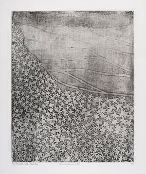 Frits Anton van der Horst - Ets, Zonnebloemen kopen? Bied vanaf 1!