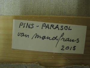 Erna van Mondfrans - Fraai verstild realistisch olieverf "Parasolbomem in Landschap" gesigneerd kopen? Bied vanaf 80!