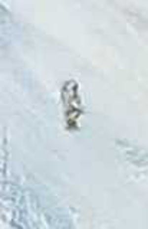 Marijke Wiegerinck - Acryl op doek, Skiër - Ingelijst kopen? Bied vanaf 1!