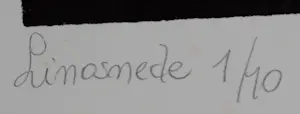 Auk de Boer - Linosnede - 1985 kopen? Bied vanaf 59!