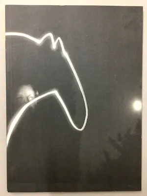 Leon Adriaans - "Het leven schilderen is pakkend" 2008 - "Man en paard" 2008 - 3 Boeken kopen? Bied vanaf 65!