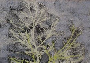 Sandra Kruisbrink - Tekening: Bomen - 1961 kopen? Bied vanaf 135!