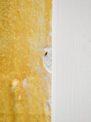 Jack Harden - Systematische ontdekking kopen? Bied vanaf 1!