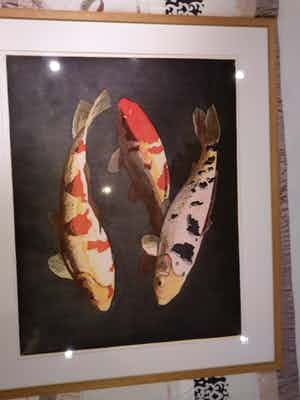 Marcel Schellekens - 3 koi verkocht voor € 155!