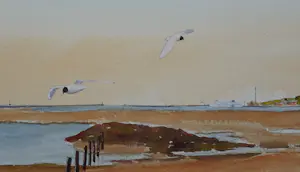 Franklin Meijer - Terschelling - Haven West kopen? Bied vanaf 49!