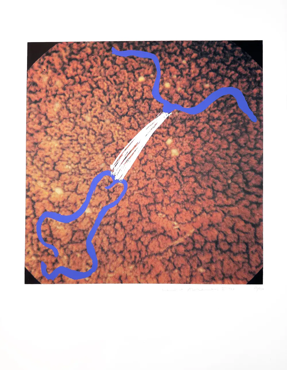 Marina Abramovic (1946)