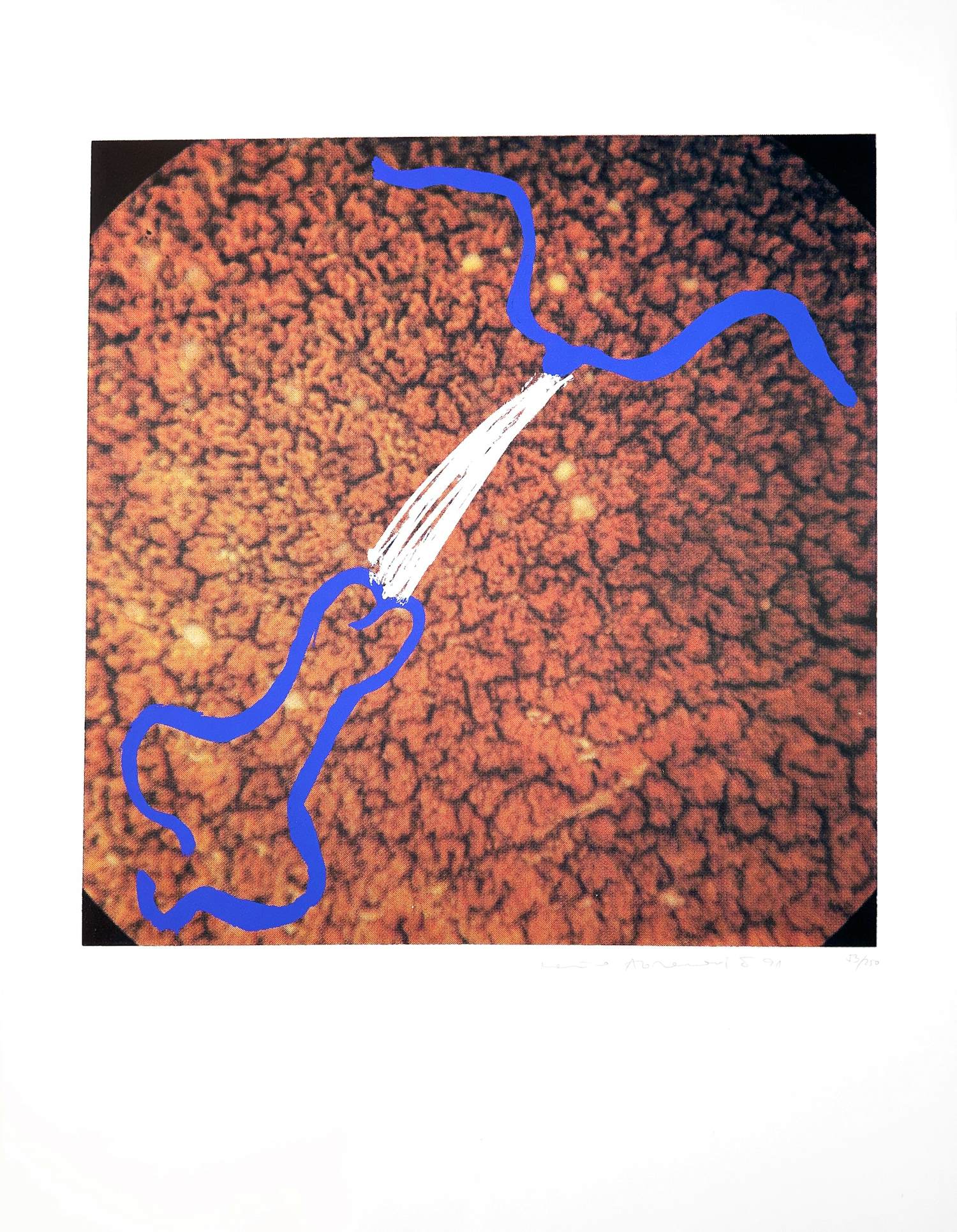 Marina Abramovic - zonder titel kopen? Bied vanaf 259!