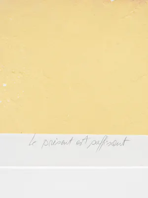 Francis Mean - Le Present Est Suffisant kopen? Bied vanaf 50!