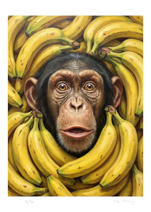 Mr Strange - Overvallen kopen? Bied vanaf 85!