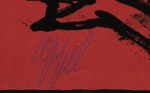 Karel Appel - Litho uit de uitgave Rhapsodie de ma nuit - Ingelijst kopen? Bied vanaf 1!