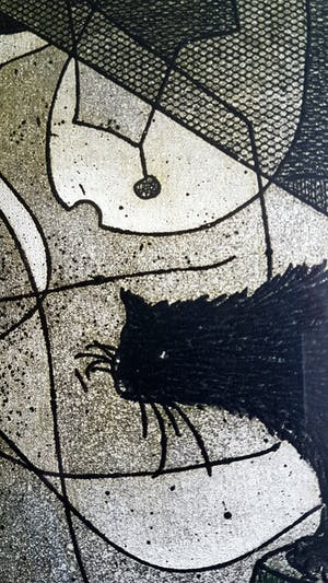 Harry van Kruiningen - Edgar Allen Poe - De Zwarte Kater kopen? Bied vanaf 30!