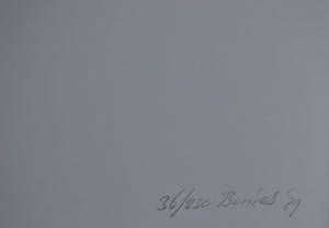 Bob Bonies - Bob Bonies en Frans Molenaar. Zonder titel kopen? Bied vanaf 100!