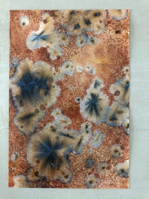 Theo Lode de Leede - Bloemen maar dan anders kopen? Bied vanaf 25!