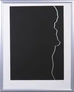 Harry van Kuyk - Zeefdruk uit het portfolio Grafinu - Ingelijst verkocht voor € 1!