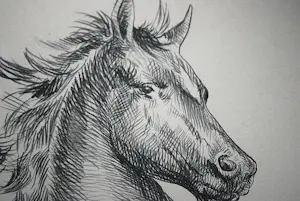 AcheterMarcello Cassinari Vettor - Cavallo - grote litho, oplage 53/150? Enchérissez de 125!