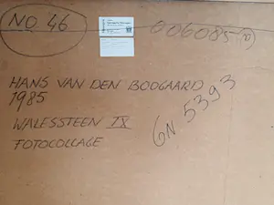 Hans van den Boogaard - Walessteen IX kopen? Bied vanaf 25!