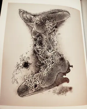 Hans Bellmer - The Drawings of Hans bellmer kopen? Bied vanaf 20!