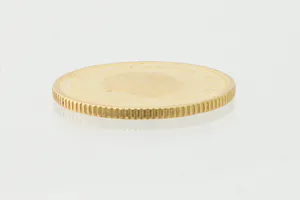 massief gouden (900/1000)  100 Gulden munt Nederlandse Antillen (1978) kopen? Bied vanaf 300!