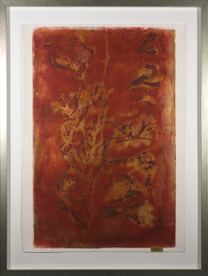 Bea Verheul - Gemengde druktechniek op papier, Ginghobiloba - Ingelijst (Groot) kopen? Bied vanaf 1!